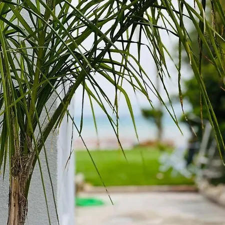 Anemomylos By The Sea * Tsoukalaiika (Achaea)